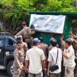 penertipan tamann kota